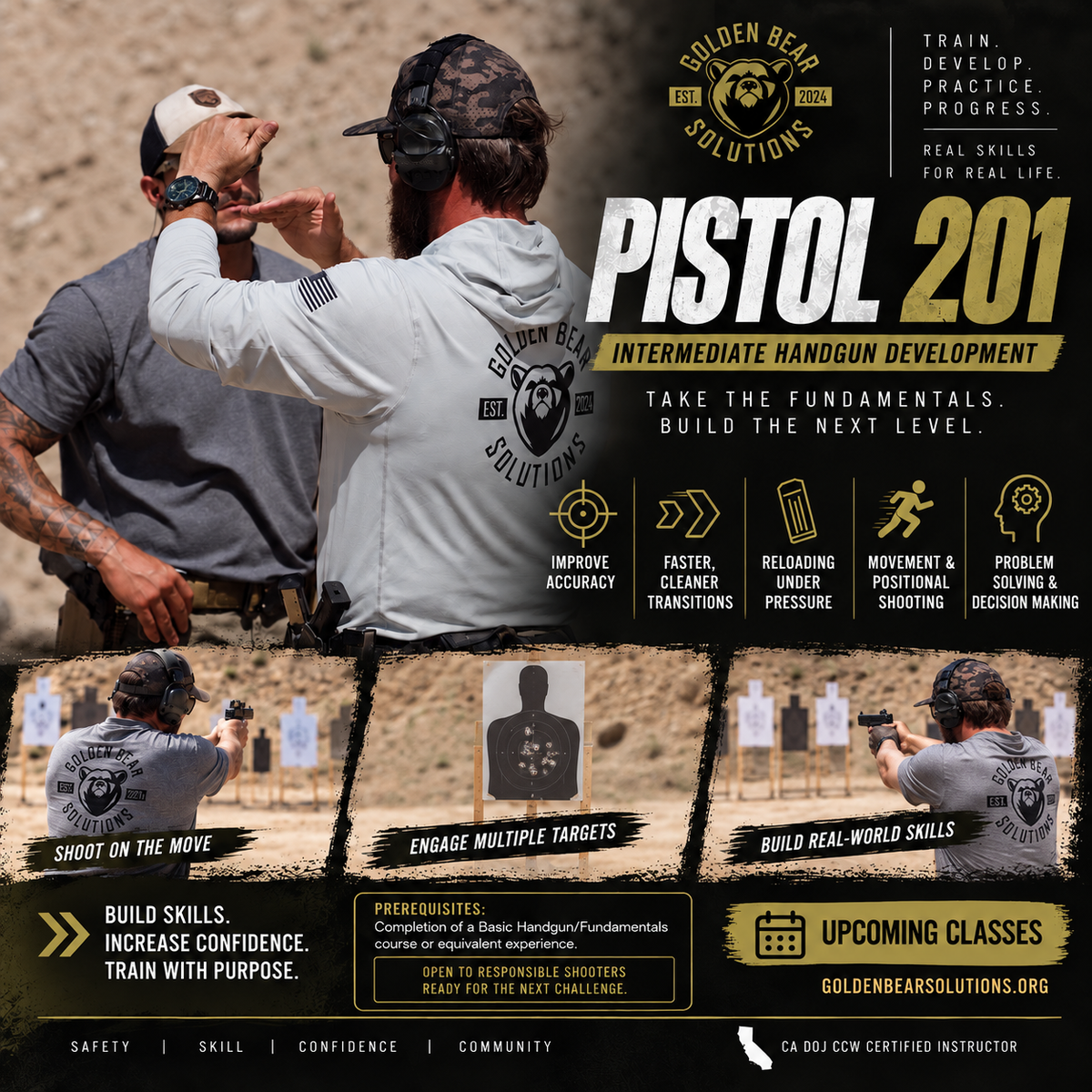 PISTOL - 201