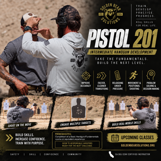 PISTOL - 201